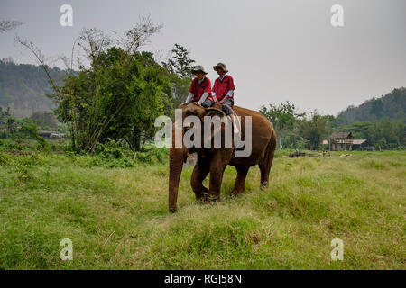 Thailandia Chiang Mai provincia, Ran Tong elefante santuario, trekking elefante Foto Stock