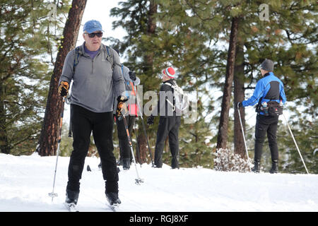 Un cross-country sciatore su un sentiero curati presso l'Eco Ridge Nordic Ski Area in Chelan Washington. Foto Stock