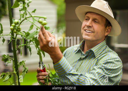 Uomo impianto di trimming. Foto Stock