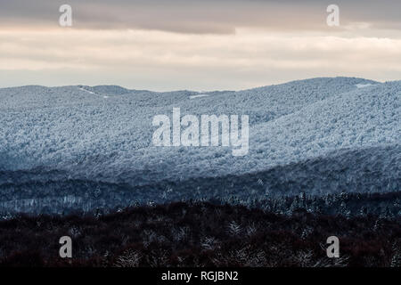Una bella foresta di inverno in montagna. La gamma della montagna che separa la Polonia e Ucraina. Monti Bieszczady. Polonia Foto Stock
