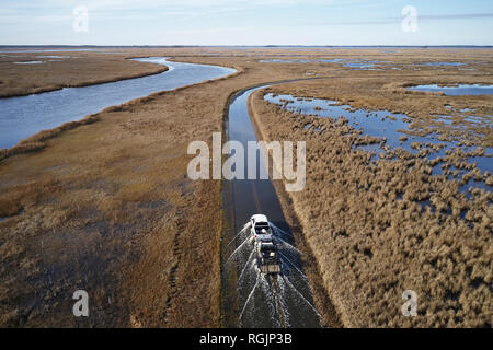 Stati Uniti d'America, Maryland, Cambridge, alta marea inondazioni dall innalzamento del livello del mare a Blackwater National Wildlife Refuge Foto Stock