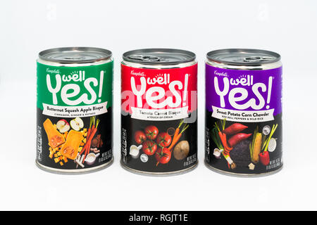 ST. PAUL, MN/STATI UNITI D'America - 27 gennaio 2019: Campbell's ben sì zuppe nel raggruppamento di tre. Foto Stock