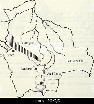 . Bollettino della British ornitologi' Club. Gli uccelli. N. Krabbe et al. 230 Boll. Ll B.O.C.&GT;% 116(4) Gli uccelli di foreste montane di frammenti nel dipartimento di Chuquisaca, Bolivia di Niels Krabbe, piegate Otto Poulsen, Amy Fr&amp;lander, Marcelo Hinojosa B. &AMP; Carmen Quiroga O. ha ricevuto il 17 novembre 1995 il versante orientale delle Ande della Bolivia comprendono due significativamente diverse regioni. Nel nord la "Yungas" gamma da La Paz southeastwards Dipartimento per la Sibiria spartiacque Comarapa vicino al confine tra la città di Cochabamba e Santa Cruz i reparti. Nel sud il "Valles&qu Foto Stock