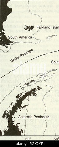 . Bollettino della British ornitologi' Club. Gli uccelli. P. A. Principe &AMP; J. P. Croxall 83 Boll.B.O.C. 1996, 116(2) Isole Falkland I. ' /Shag Rocks ' ^-:b' delle isole a sud le isole Shetland t3' * P. £ e &AMP; a sud delle Isole Orkney 50°S 55° 60° 65° 40° 30 W nella figura 2. Mappa che mostra della Georgia del Sud in relazione al Sud America e Antartide insieme con il confine della Georgia del Sud parte della Georgia del Sud e Isole Sandwich del Sud zona marittima, 1000 m di profondità i contorni e la posizione approssimativa del polare antartico zona frontale. 1988). Allevamento registrato per la prima volta presso il South San Foto Stock