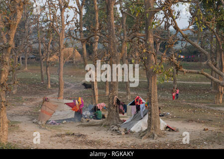 Comunità di persone che vivono in tende nella foresta alla periferia di Haridwar, Uttarakhand, India Foto Stock