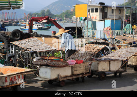 Pesce di essiccazione, Cheung Chau Isola, Hong Kong, Cina, Asia Foto Stock