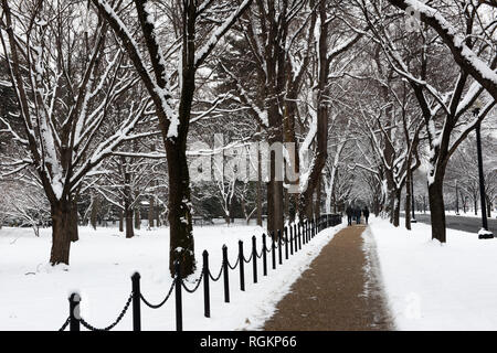 WASHINGTON, DC - neve appena caduta su alberi che costeggiano una passerella lungo il Lincoln Memorial Reflecting Pool a Washington DC. Foto Stock