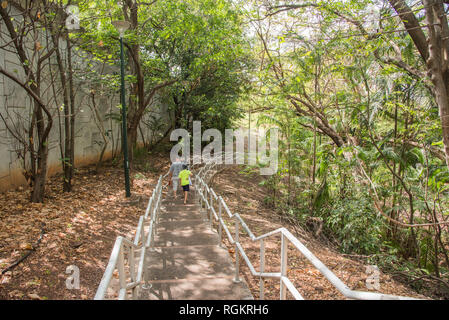 Darwin, Northern Territory, Australia-October 8,2017: padre e figlio percorrendo a piedi la foresta pluviale passi a Darwin, in Australia Foto Stock