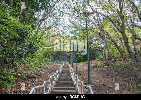 Darwin, Northern Territory, Australia-October 8,2017: collina ripida scala attraverso la foresta pluviale tropicale la crescita a Darwin, in Australia Foto Stock