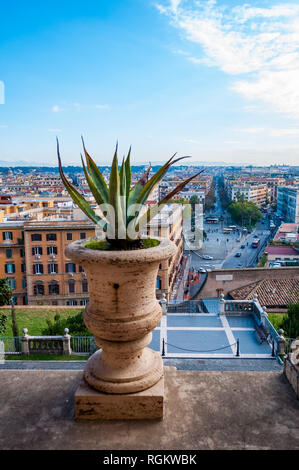 Aloe Vera pianta che cresce in una pentola grande in piedi su un balcone con vista splendida sul paesaggio urbano di Roma Foto Stock