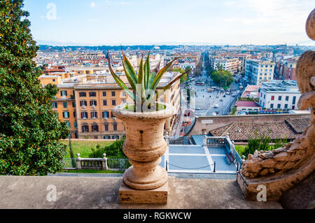 Aloe Vera pianta che cresce in una pentola grande in piedi su un balcone con vista splendida sul paesaggio urbano di Roma Foto Stock