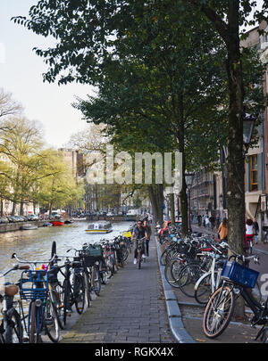 I ciclisti sulla pista ciclabile lane da canal, Amsterdam, Paesi Bassi, Europa Foto Stock