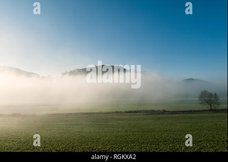 Herrock Colle (Offa's Dyke percorso nei pressi di Kington, Herefordshire, UK) sale al di sopra della nebbia in un freddo inverno mattina Foto Stock