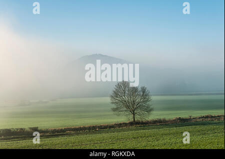 Herrock Colle (Offa's Dyke percorso nei pressi di Kington, Herefordshire, UK) sale al di sopra della nebbia in un freddo inverno mattina Foto Stock