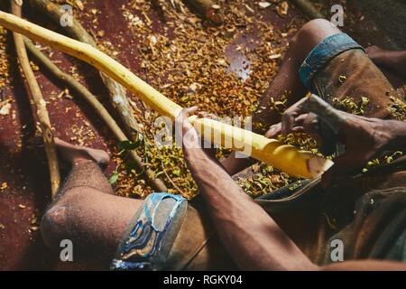 Le mani dell'uomo preparare bastoncini di cannella. Lavoratore manuale in Sri Lanka. Foto Stock