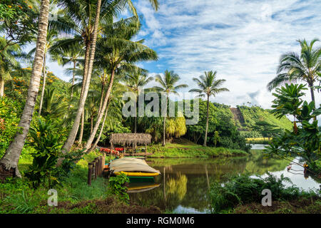 Canoe e kayak sul fiume con alberi di palma e di riflessione. Fiume Wailua, Kauai, Hawaii Foto Stock