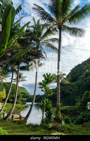 Canoe e kayak sul fiume con alberi di palma e di riflessione. Fiume Wailua, Kauai, Hawaii Foto Stock