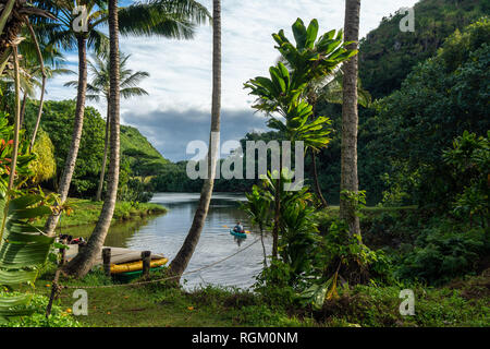 Canoe e kayak sul fiume con alberi di palma e di riflessione. Fiume Wailua, Kauai, Hawaii Foto Stock