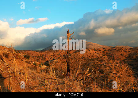 San Bernardino, in California, Stati Uniti d'America. 6 Ottobre, 2018. Il Deep Creek è una parte del Pacific Crest Trail. Va pur splendido Deserto Mojave. Credito: Katrina Kochneva/ZUMA filo/Alamy Live News Foto Stock