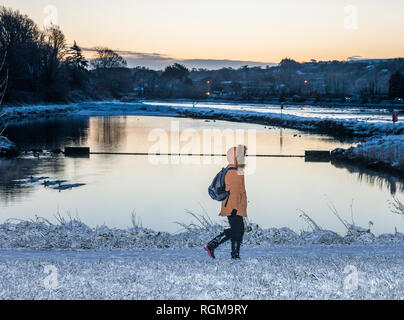 Carrigaline, Cork, Irlanda. 30 gennaio 2019. . Cork, Irlanda. Una donna cammina attraverso un parco comunitario coperto di neve mentre si reca a lavorare a Carrigaline, Co. Cork, Irlanda crediti: David Creedon/Alamy Live News Foto Stock