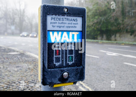 Chippenham, Wiltshire, Regno Unito. Il 30 gennaio, 2019. Come la neve e il gelo nebbia continua a interessare molte parti della Gran Bretagna, un coperto di ghiaccio attraversamento pedonale pulsante è raffigurato in Chippenham, Wiltshire. Meteorologi predire che la Gran Bretagna si affaccia 'molto significativa nevicata' questa settimana. Credito: Lynchpics/Alamy Live News Foto Stock