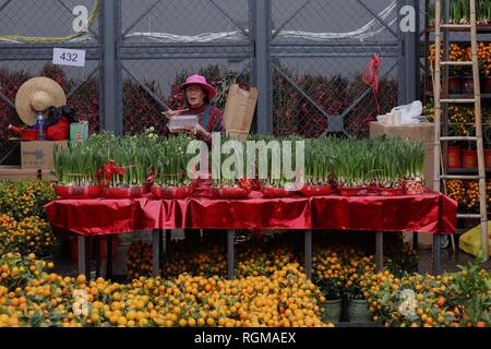 Hong Kong, Cina. 30 gen, 2019. Proprietario del venditore di fiori di prendere una pausa per il pranzo presso il Nuovo Anno Cinese Mercato nel Victoria Park, Hong Kong.Jan-30, 2019 Hong Kong.ZUMA/Liau Chung-ren Credito: Liau Chung-ren/ZUMA filo/Alamy Live News Foto Stock