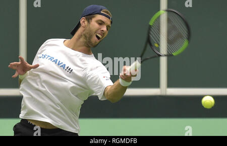 Ostrava, Repubblica Ceca. 30 gen, 2019. Ceca giocatore di tennis Jiri Vesely in azione durante la sessione di formazione in Ostrava, Repubblica ceca, 30 gennaio 2019. Nella nuova Coppa Davis formato, il vincitore della Cechia vs Paesi Bassi meeting verranno passate alle finali, precedentemente noto come gruppo mondiale, dove 18 squadre si riunirà a Madrid nel mese di novembre. Credito: Jaroslav Ozana/CTK foto/Alamy Live News Foto Stock