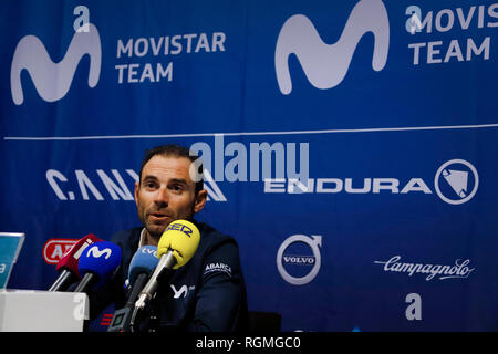 Palma, Spagna. 30 gen, 2019. Escursioni in bicicletta, Sfida Cyclista Mallorca, conferenza stampa: ciclista spagnolo Alejandro Valverde. La prima fase dei quattro giorni di sfida Cyclista Mallorca inizia il 31.01.2019. Credito: Clara Margais/dpa/Alamy Live News Foto Stock