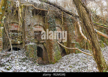 Sauen, Germania. 29 gen, 2019. Ricoperti di edera e parzialmente annegati edificio del vecchio vapore laterizi Philipp Holzmann & Cie. il vapore laterizi, che si trova nella presente della foresta di agosto Bier Foundation, ha iniziato le operazioni nel 1891 e prodotto mattoni a vista, a forma di mattoni e tegole del tetto fino al 1912. Fino a cinque diversi tipi di pipistrelli trascorrono l'inverno ogni anno nelle volte, alcuni dei quali hanno già crollato. Queste includono anche le specie protette come il pug bat e il mouse ear. Credito: Patrick Pleul/dpa-Zentralbild/ZB/dpa/Alamy Live News Foto Stock