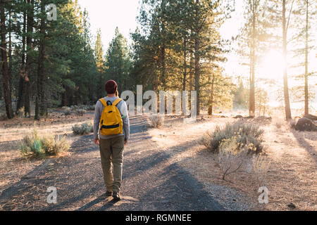 Stati Uniti d'America, a nord della California, vista posteriore del giovane uomo che cammina su un percorso in un bosco vicino a Parco Nazionale vulcanico di Lassen Foto Stock