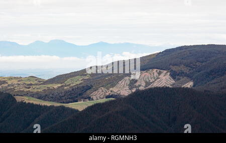 Vista da Hawkes Lookout, Nelson, Nuova Zelanda. Foto Stock