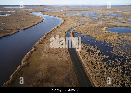 Stati Uniti d'America, Maryland, Cambridge, alta marea inondazioni dall innalzamento del livello del mare a Blackwater National Wildlife Refuge Foto Stock