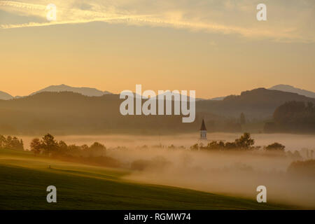 Germania, Pfaffenwinkel, vista del paesaggio di nebbia di mattina Foto Stock