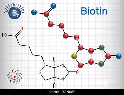 La biotina (vitamina B7). Formula chimica di struttura e la molecola modello. Foglio di carta in una gabbia. Illustrazione Vettoriale Illustrazione Vettoriale