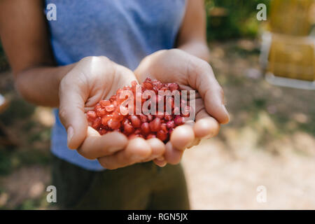 Donna di mani che tengono i semi di melograno Foto Stock
