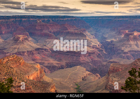 Stati Uniti d'America, Arizona, il Parco Nazionale del Grand Canyon, il Grand Canyon di sera Foto Stock