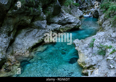 La Slovenia, Tolmin, il Parco Nazionale del Triglav, Tolmin gole Foto Stock