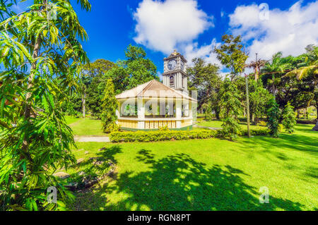 Isole Fiji, Viti Levu, Suva, Thurston Gardens, Torre dell'orologio Foto Stock