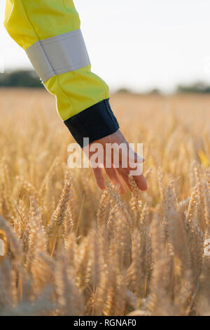 Close-up di uomo in indumenti da lavoro protettiva in un campo Foto Stock