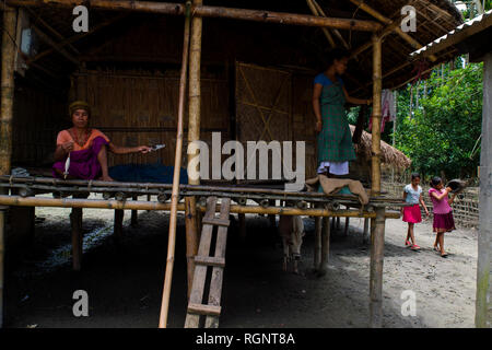 Majuli, Assam Foto Stock