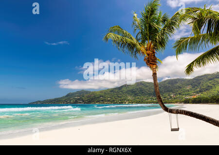 Coco Palm e il mare turchese sull isola tropicale ho Foto Stock