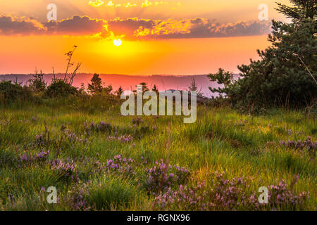 Sunrise nel deserto, Foresta Nera, la Germania, la riserva naturale e montagna creste Schliffkopf, Parco Nazionale vicino a Freudenstadt e a Oppenau Foto Stock