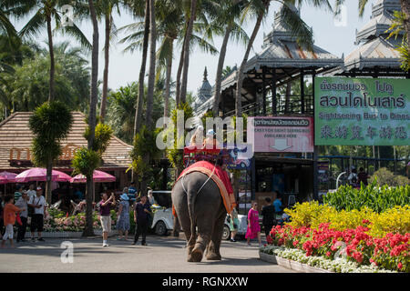 La voce in Nong Nooch giardino tropicale vicino alla città di Pattaya in Provinz Chonburi in Thailandia. Thailandia, Pattaya, Novembre 2018 Foto Stock