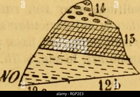 . Bulletin de la SociÃ©tÃ© des Sciences Naturelles de l'Ouest de la France. Storia naturale -- Francia. 2B2 2 Ba Pelrosilex 2 C Amphibolite. 9 Poudingue liasieii J^o/fyi/ri/r J^&GT;^* lu cale, oolith. Ã Aw. hifrnns. 56 Sables tertiaires. TranchÃ©e ouverte dans le terrain primitif sur lequel riposano le lia? TRANCHÃE N" 13, de Saint-Jacques-de-Thouars. FiG. 3. ^ '!fifude^S2'6S. Z 0/iyueuri 2Ã'f* 2 Bi Leptynite. 10 Cal. oolilh. Ã Am. biffrons. 11 Toarcien moy. Ã Ain. Toarcensis. 12 Toarcien sup. Ã Ost. Beaumcnti. 56 Sables tertiaires. TRANCHEE N" 14, de Saint-Jean-de-Thouars FiG. 4.. 12a Foto Stock