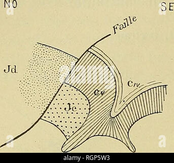 . Bulletin de la SociÃ©tÃ© gÃ©ologique de France. La geologia. 704 E. FOURNIKR. Â LE PLI de la Sainte Baume 9 nov. Fig. 52.. MÃªme lÃ©gende. Â Jc, Calcaire Ã Heterodiceras (d'aprÃ¨s M M.Ber- trand). cette conclusione, dÃ©montrÃ©e pour les collines de Ste-Croix, s'Ã©tendono Ã la cuvette de Peypin Qui est en continuitÃ© avec ces collines. En face de la traversa de Joux, une petite faille dÃ©nivelle lÃ©gÃ¨re- ment le flanc mÃ©ridional du pli (fig- 52). Dans la coupe 51, su remarque en outre que le flanc mÃ©ridional du pli principal est longÃ© par une faille Fd/ qui le sÃ©pare de la retom- BÀ©e septentrio Foto Stock