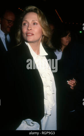 CENTURY City, CA - novembre 30: attrice Faye Dunaway assiste apertura notturna di "Sunset Boulevard" il 30 novembre 1993 presso il Teatro Shubert in Century City, California. Foto di Barry re/Alamy Stock Photo Foto Stock