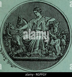 . Bulletin de la SociÃ©tÃ© nationale d'Acclimatation de France. Storia naturale; Zoologia. La SociÃ©tÃ© ne prend sous sa responsabilitÃ© aucune des pareri Ã©mises par les auteurs des articoli insÃ©rÃ©s dans figlio bollettino. SÃ©riais IQH 3 .B844 BULLETIN MENSUEL DE LA SOCIÃTÃ D'Acclimatation FondÃ©e le 10 fÃ©vrier 1854 RECONNUE GOMME ÃTABLISSEMENT D'UTILITÃ PUBLIQUE PAR DÃCRET DU 26 FÃVRIER 1855 3e serie "ÃÃmilWk T O M E I V Wl ! Septembre 189 7 SOMMAIRE, I. Travaux des MembreÂ" de la SociÃ©tÃ©. MM. JOUR DAN. Â Ãducations d'oiseaux exotiques faites à Voiron (IsÃ¨re) 481 B. RICO. ÂAcclimatati Foto Stock