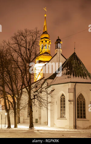 Notte invernale presso la cattedrale di St Mary a Tallinn in Estonia. Foto Stock