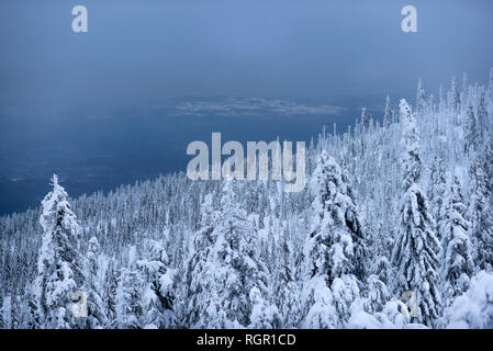 Panorama dei monti Karkonosze in inverno. In inverno il paesaggio di montagna. Foto Stock