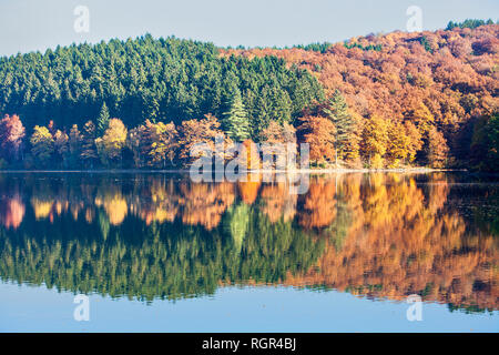 Serbatoio Listertalsperre, Attendorn, Renania settentrionale-Vestfalia, Germania, Europa Foto Stock